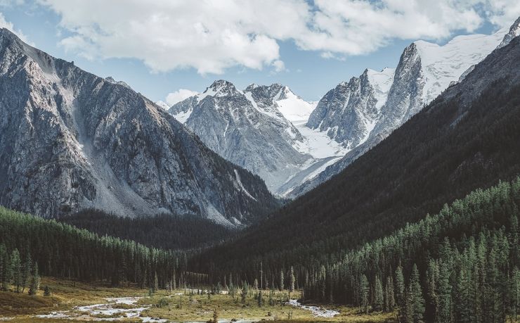 哪个移民中介可靠